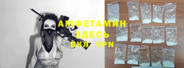 прущие грибы Бородино