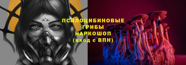 прущие грибы Бородино