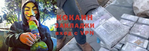 прущие грибы Бородино