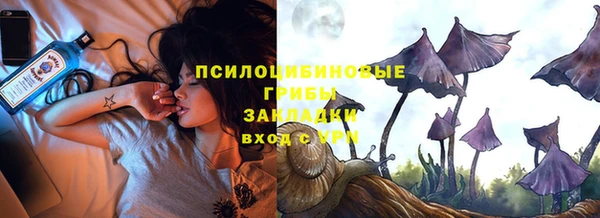 прущая мука Богданович